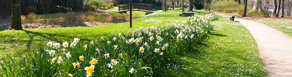 jardin-enghien.png