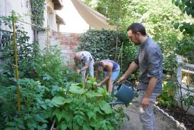 Photo de personnes jardinant ensemble